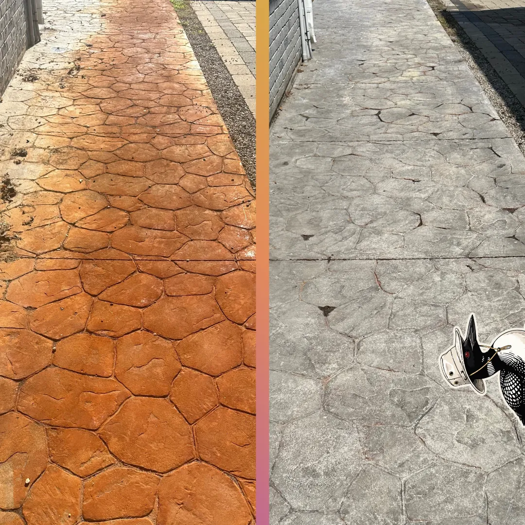 Before and after — Stamped concrete walkway — years of grime lifted and the colour back.