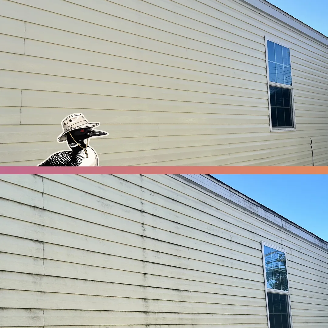 Before and after — Weather-stained siding washed back to clean around the windows.