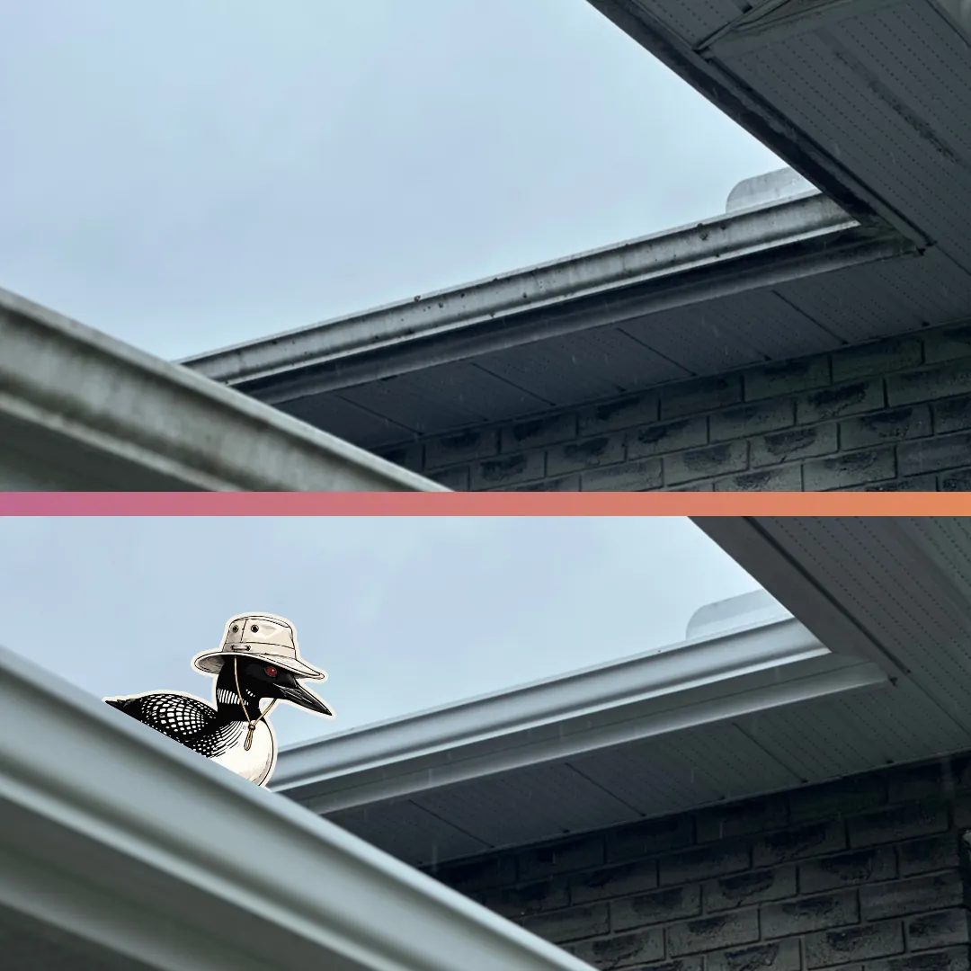 Before and after — Eaves, soffits and fascia washed back to white — no ladder against the house.