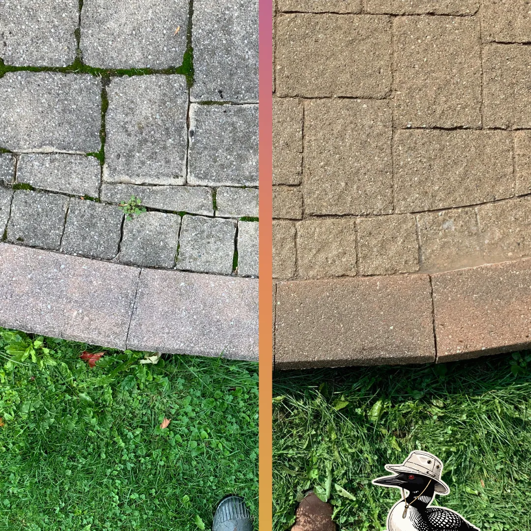 Before and after — Interlock walkway — moss and growth in the joints lifted out.