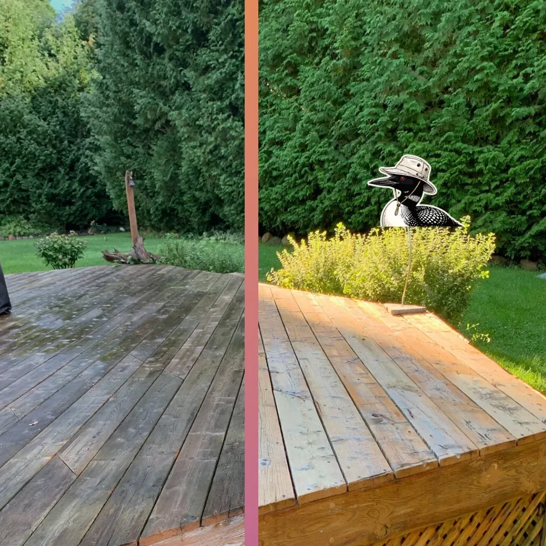 Before and after — Weathered deck boards washed back to clean, ready to seal.