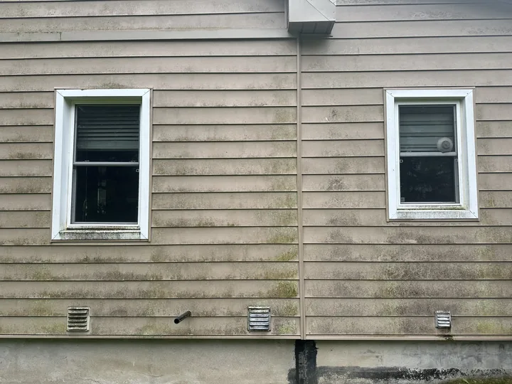 The side wall of a house before washing, the beige vinyl siding streaked and mottled with green-black organic growth around two windows
