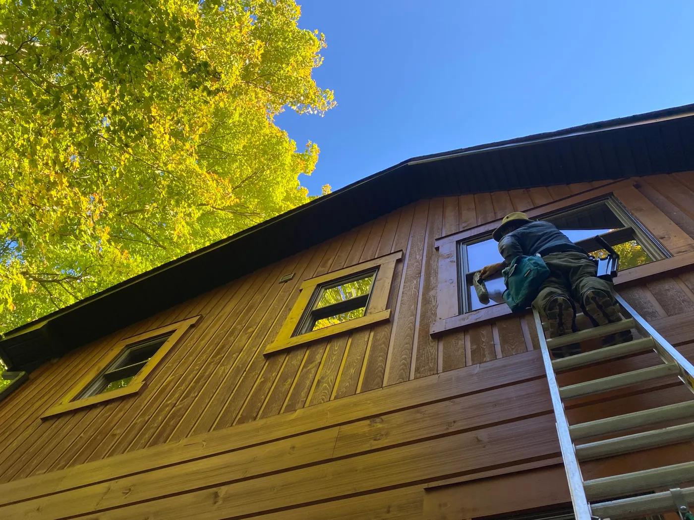 A Nord window cleaner on a ladder washing the upper windows of a cedar-sided Simcoe County cottage on a clear autumn day